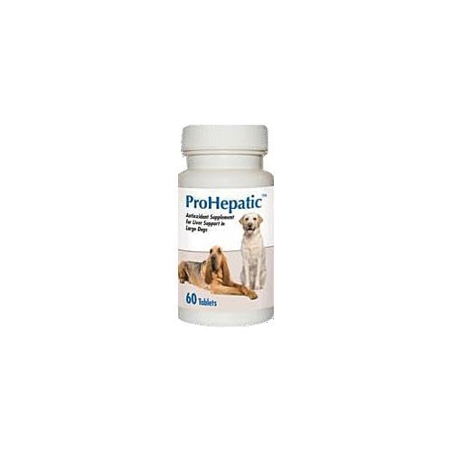 Chewable Tablets for Large Dogs 60 count W2062