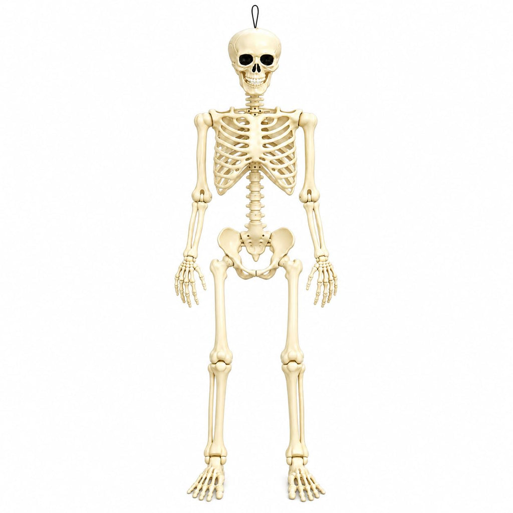 Posable Halloween Skeleton R91123
