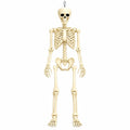 Posable Halloween Skeleton R91123