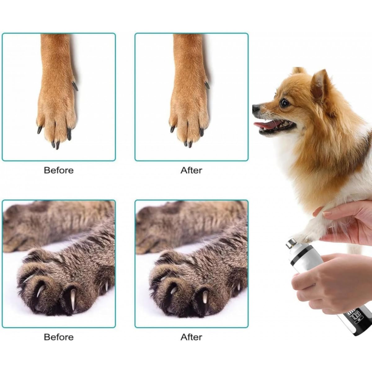 Cordless Pet Nail Grinder with LED Light H470