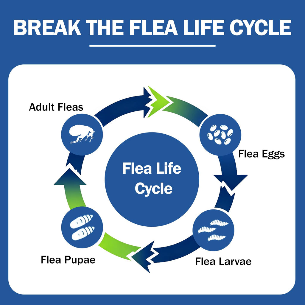 Flea and Tick Prevention for Small and Medium Dogs F680