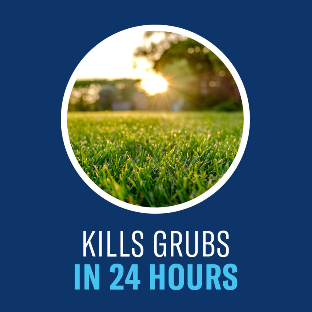 24-Hour Insect Killer Outdoor Granules Z7141