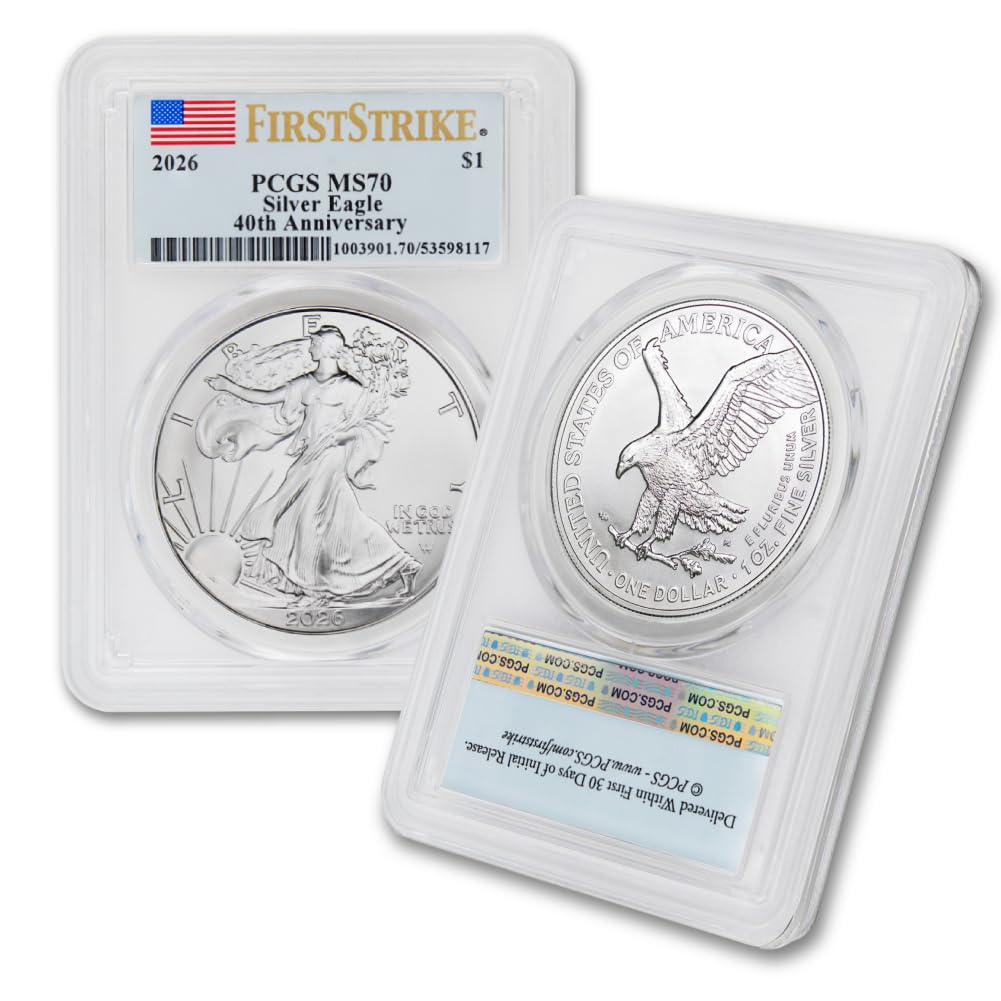 1 oz American Silver Eagle Coin MS-70 Q79847