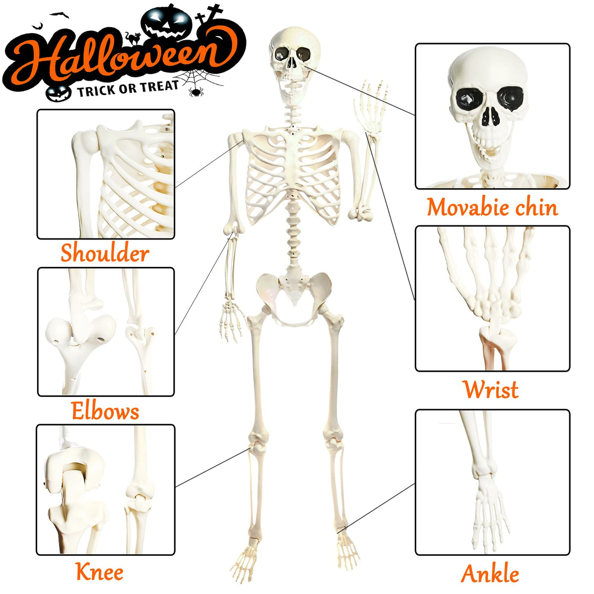 5.4FT Posable Halloween Skeleton with Movable Joints V56315