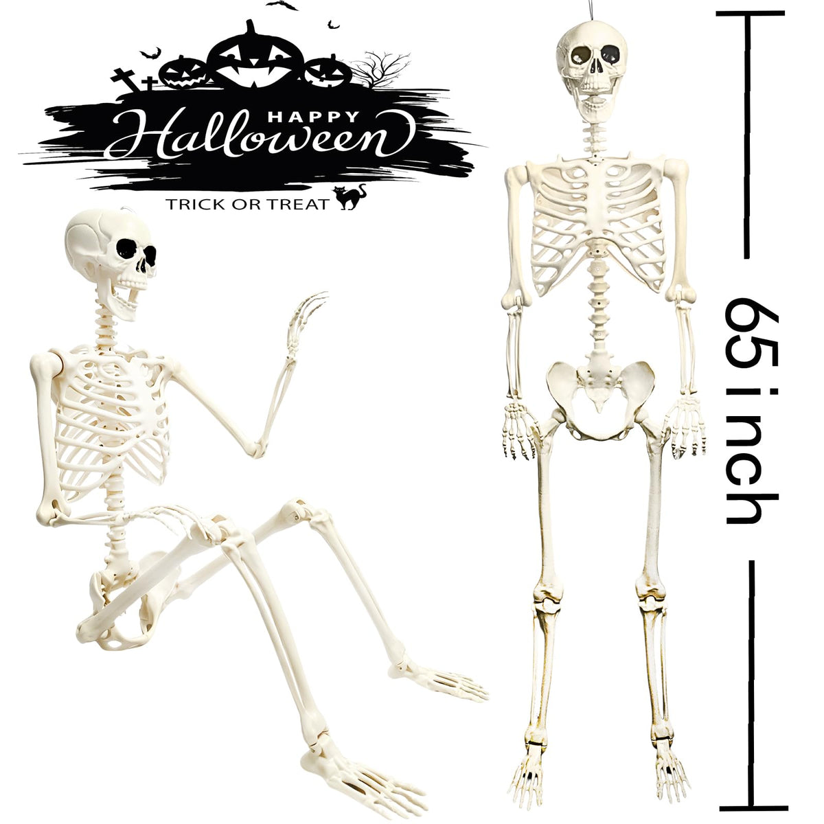 5.4FT Posable Halloween Skeleton with Movable Joints V56315
