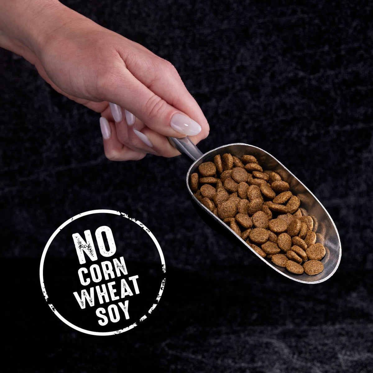 Grain Free High Protein Natural Dry Cat Food, Chicken, 10 lb P9875