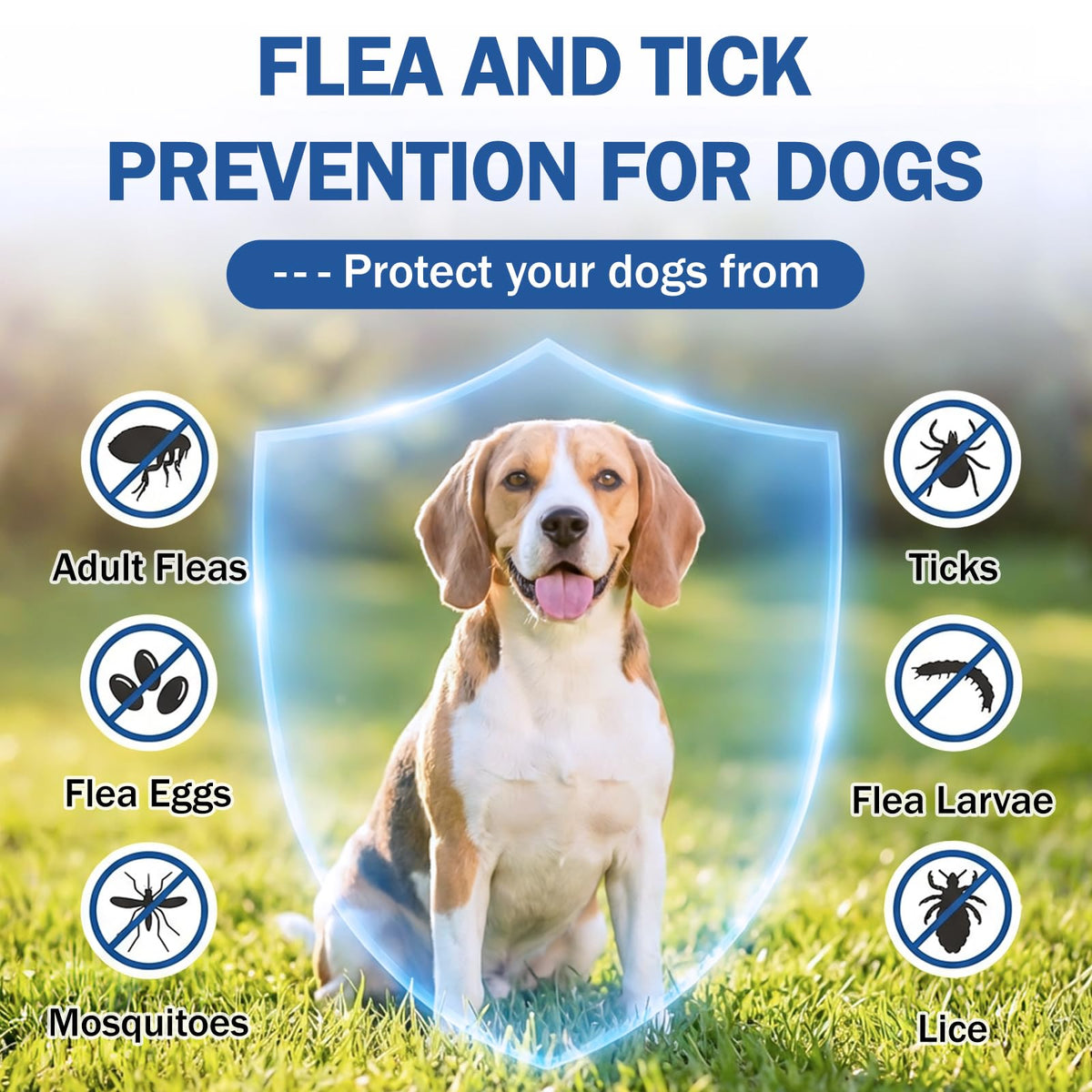 Flea and Tick Prevention for Small and Medium Dogs F680