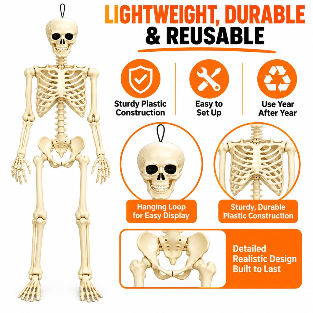 Posable Halloween Skeleton R91123