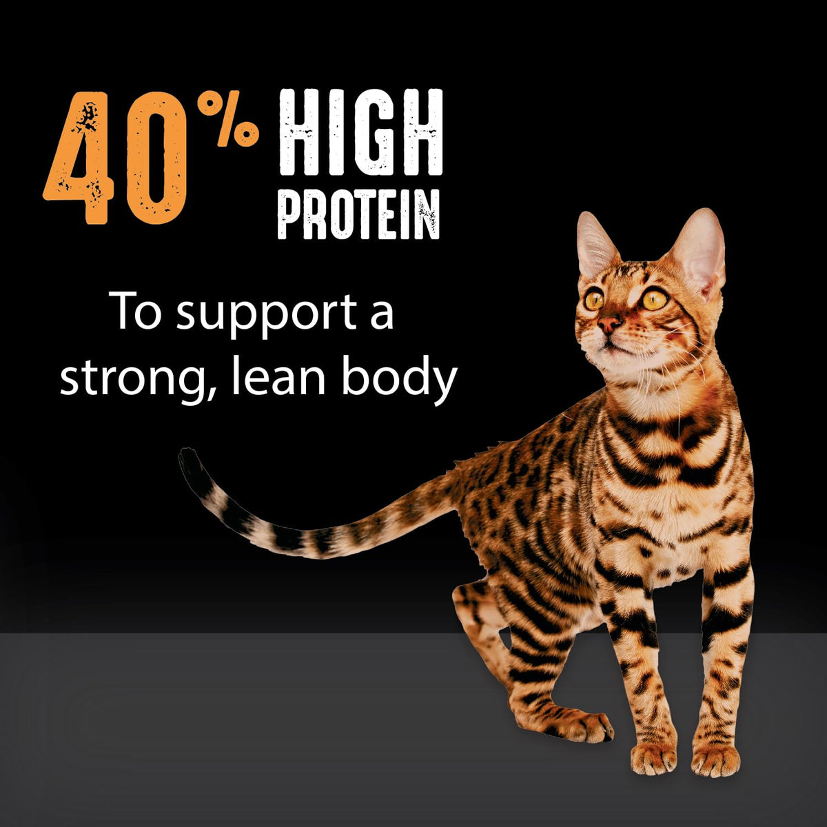 Grain Free High Protein Natural Dry Cat Food, Chicken, 10 lb P9875