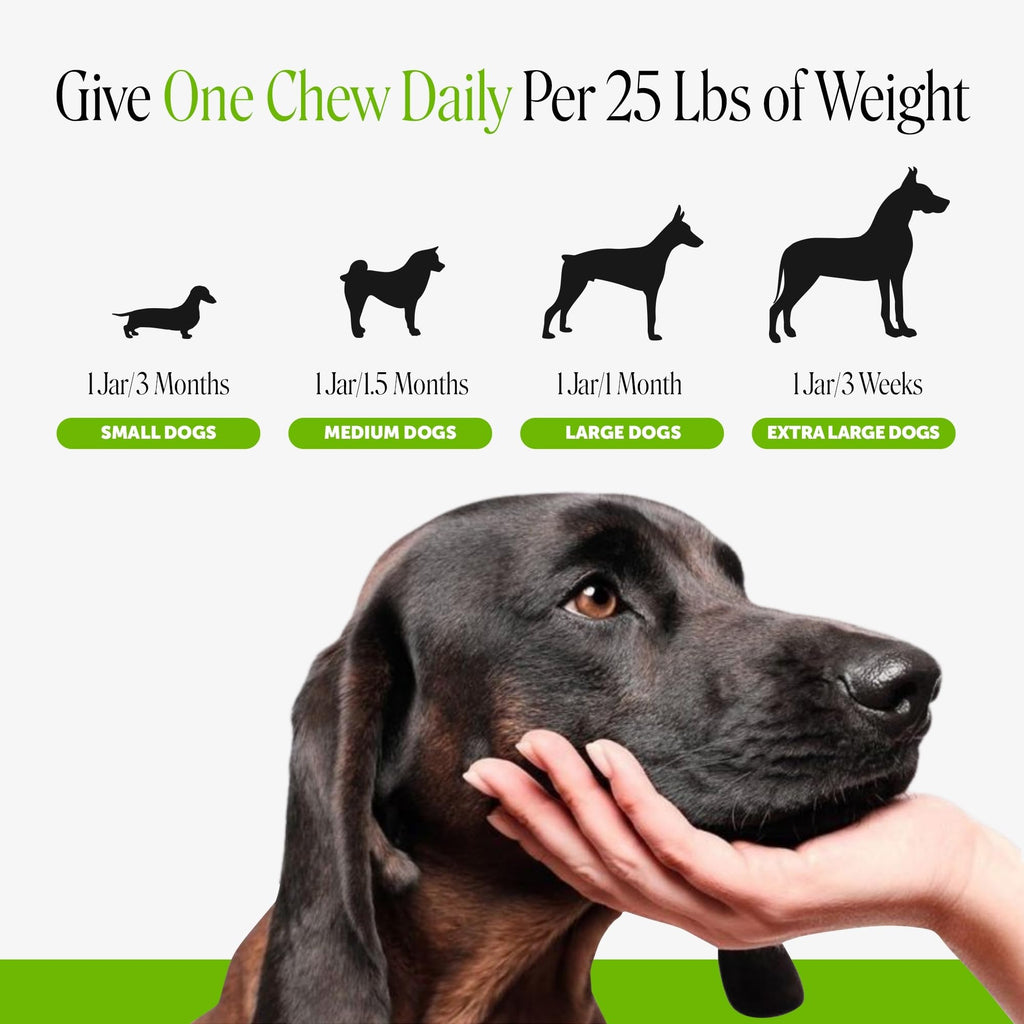 Dog Probiotics Chews 90ct Pumpkin L3722