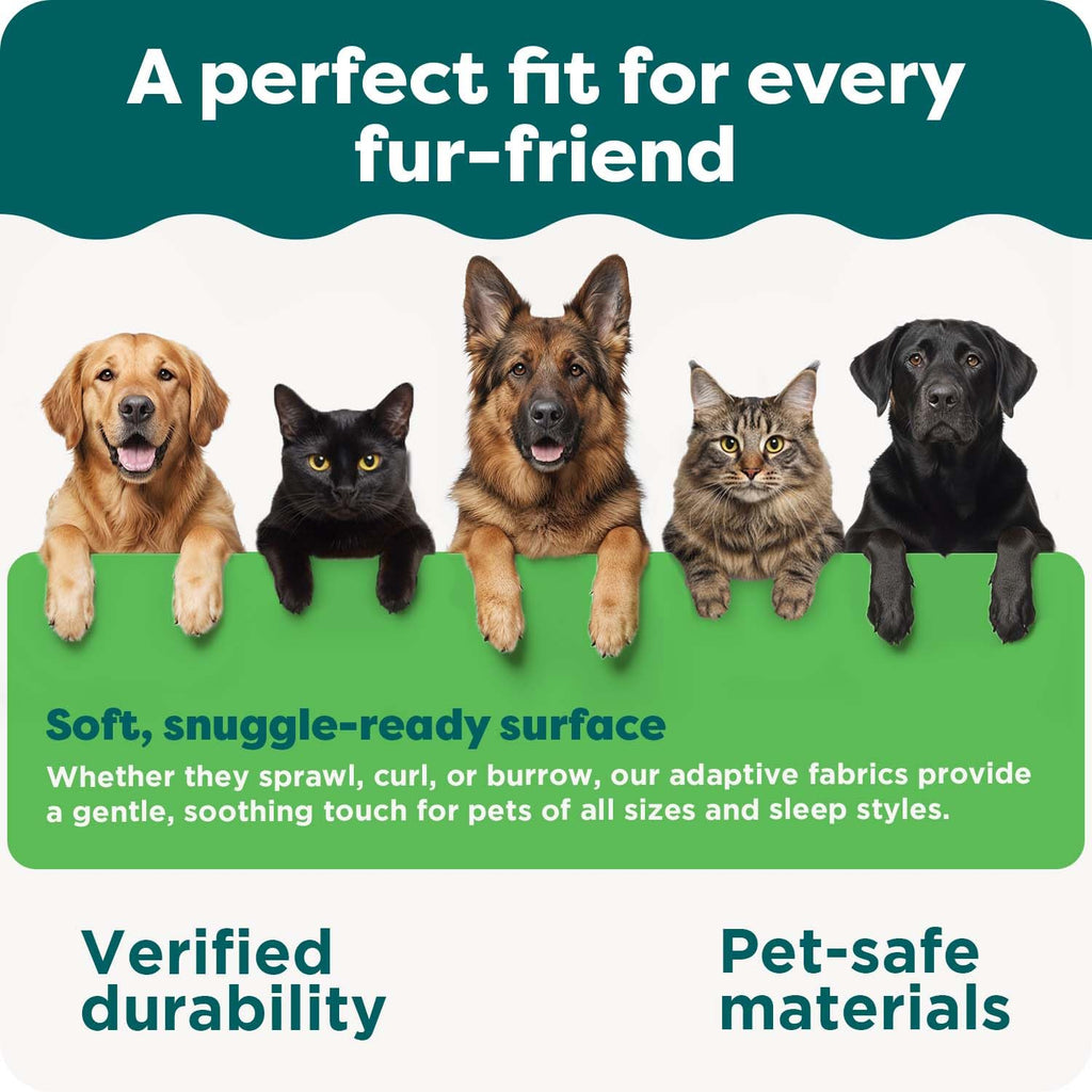 Orthopedic Dog Bed with Removable Bolsters & Washable Cover E517