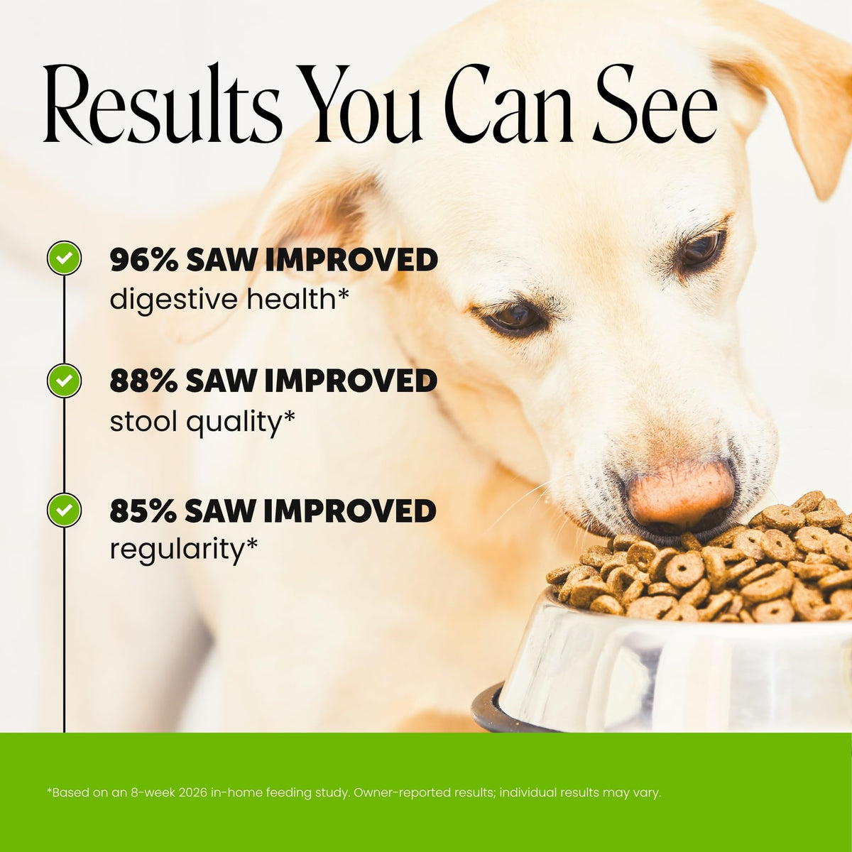 Dog Probiotics Chews 90ct Pumpkin L3722