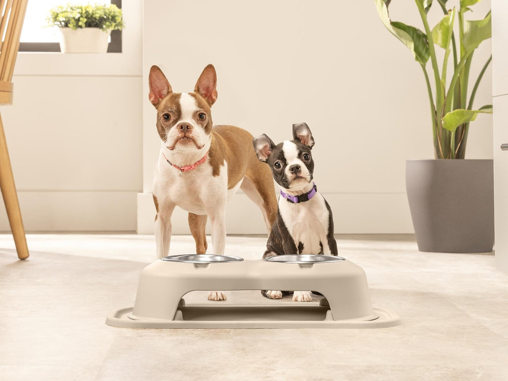 Elevated Dog/Cat Bowls 8oz Stainless Steel D43842