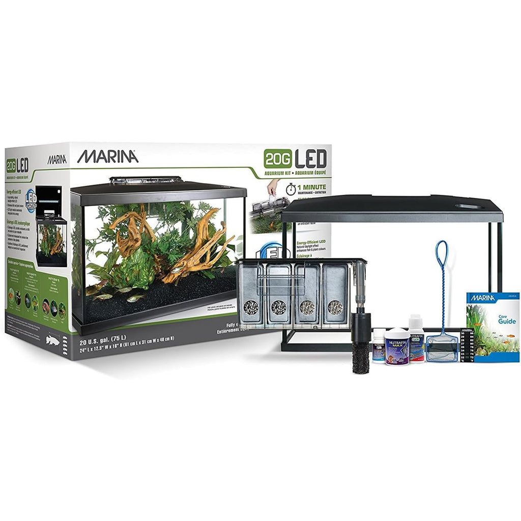 20 Gallon LED Aquarium Kit with Filter O606