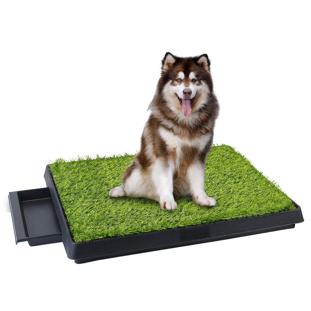 25"x20" Dog Grass Pee Pad with Tray V814670