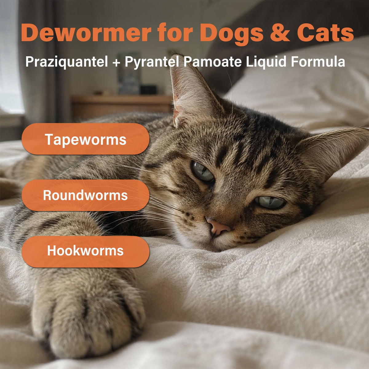 Dewormer for Dogs and Cats 3.38 fl oz M8582