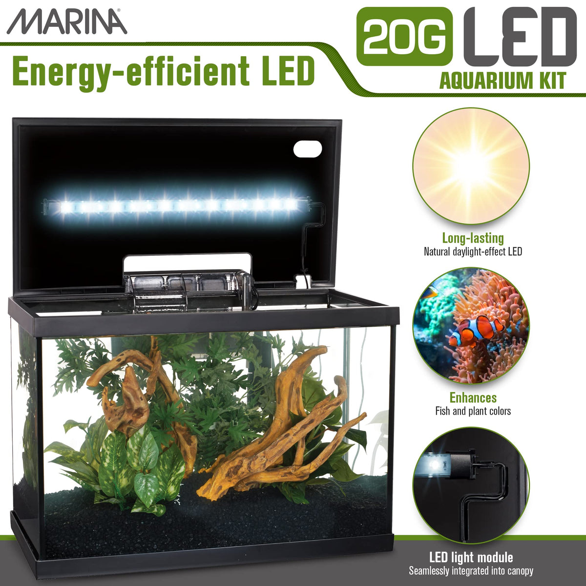 20 Gallon LED Aquarium Kit with Filter O606