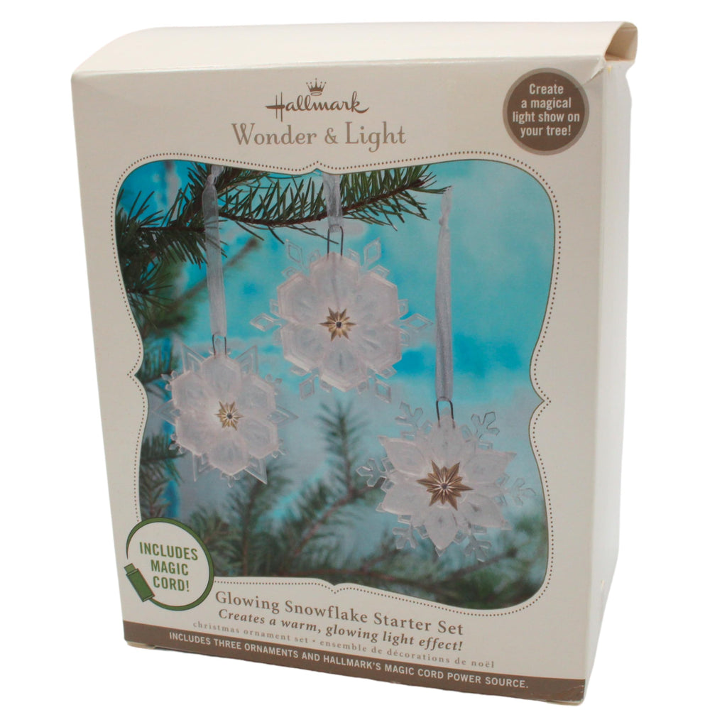 Glowing Snowflake Ornament C994775
