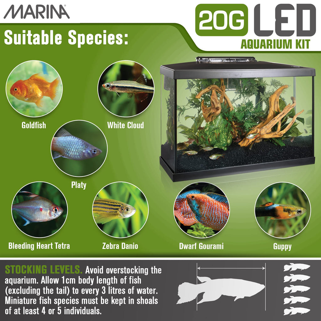20 Gallon LED Aquarium Kit with Filter O606