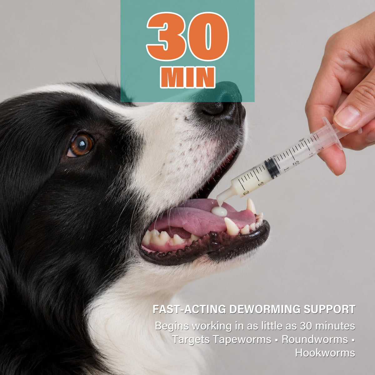Dewormer for Dogs and Cats 3.38 fl oz M8582