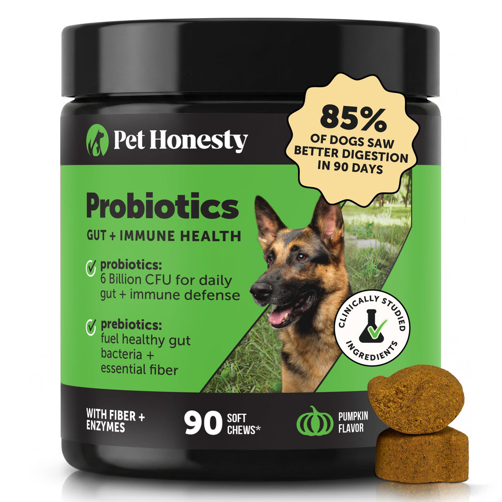 Dog Probiotics Chews 90ct Pumpkin L3722