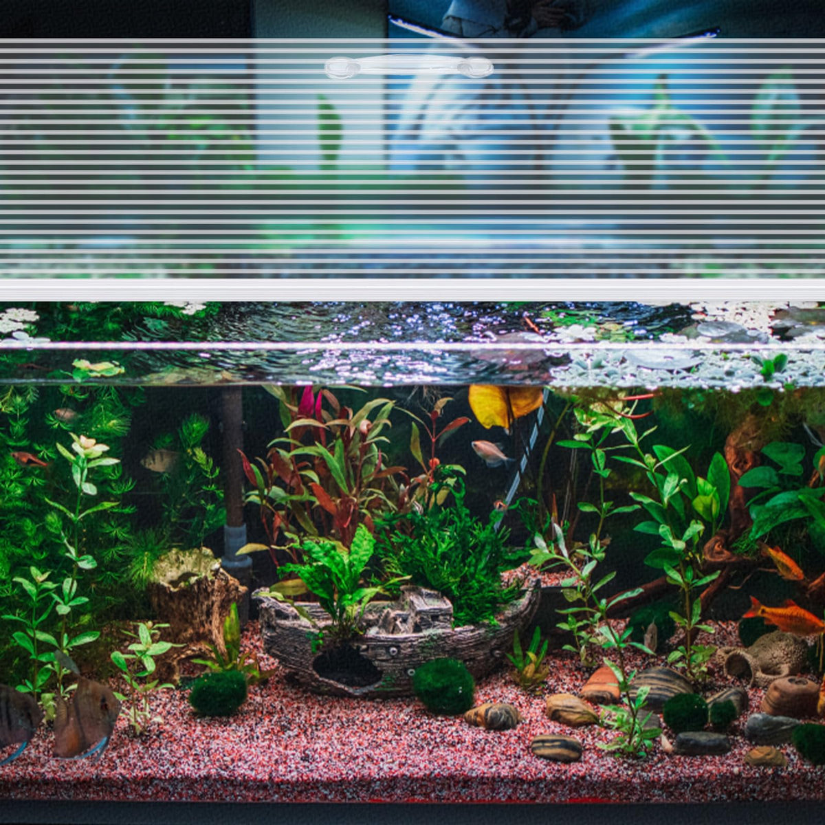 Clear 16 x 8 Inch Aquarium Lids Canopy Set S8112