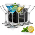 Unbreakable Plastic Martini Glasses, 8 oz Set of 6 A3902