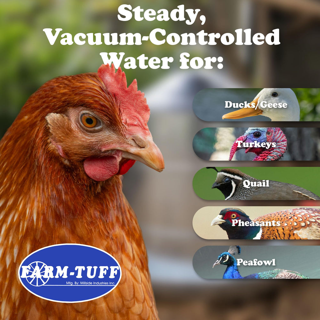 Galvanized 5 Gallon Poultry Waterer B387394