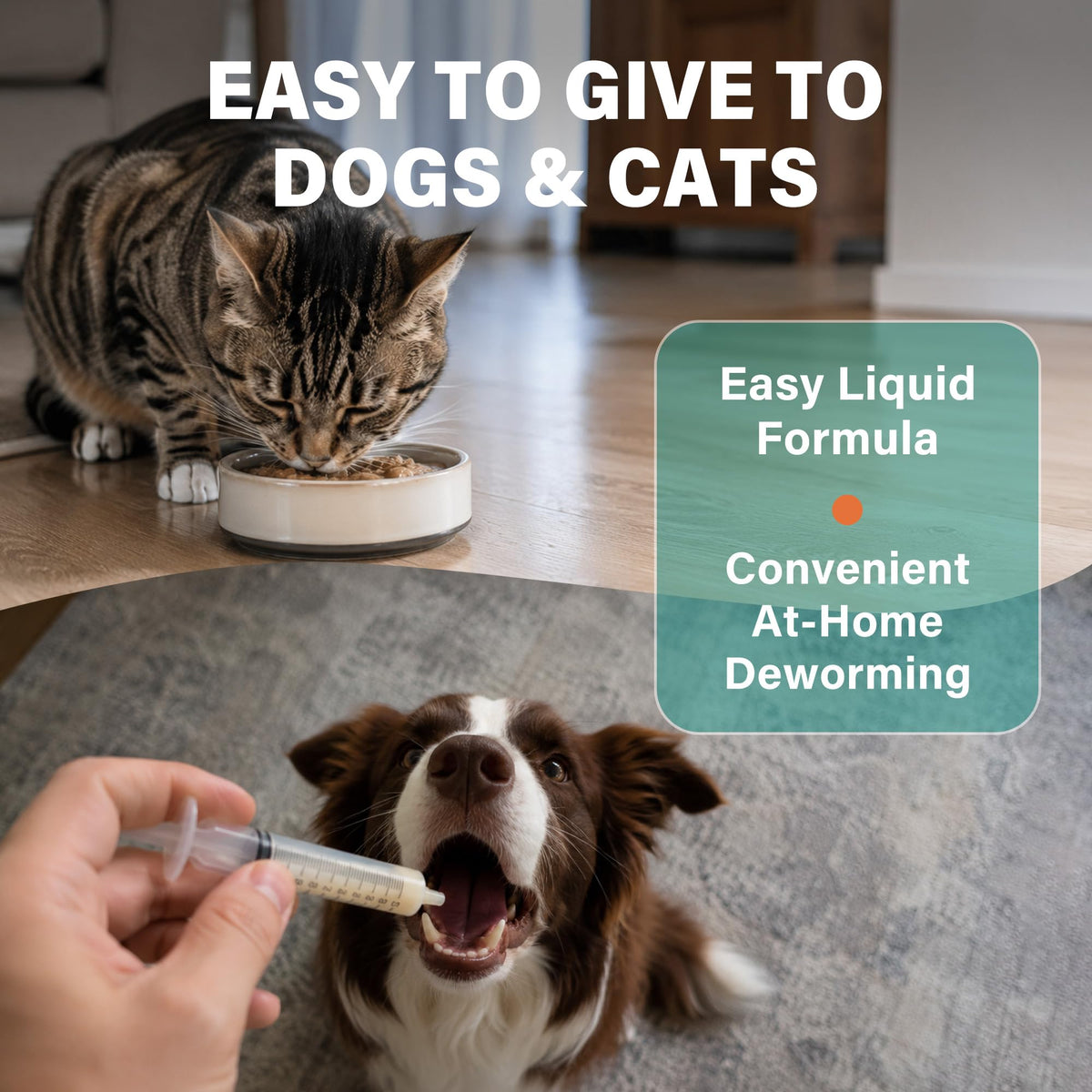 Dewormer for Dogs and Cats 3.38 fl oz M8582