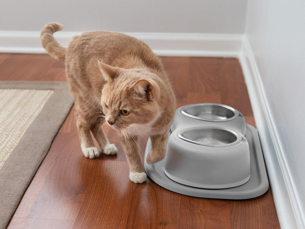 Elevated Dog/Cat Bowls 8oz Stainless Steel D43842