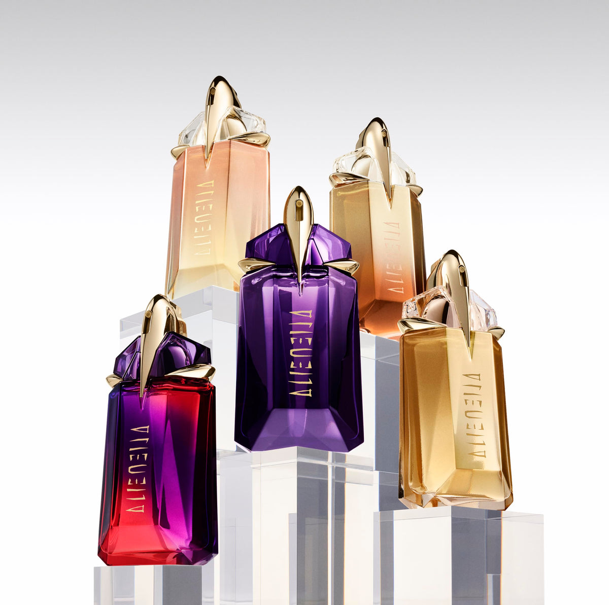Floral Eau de Parfum C544