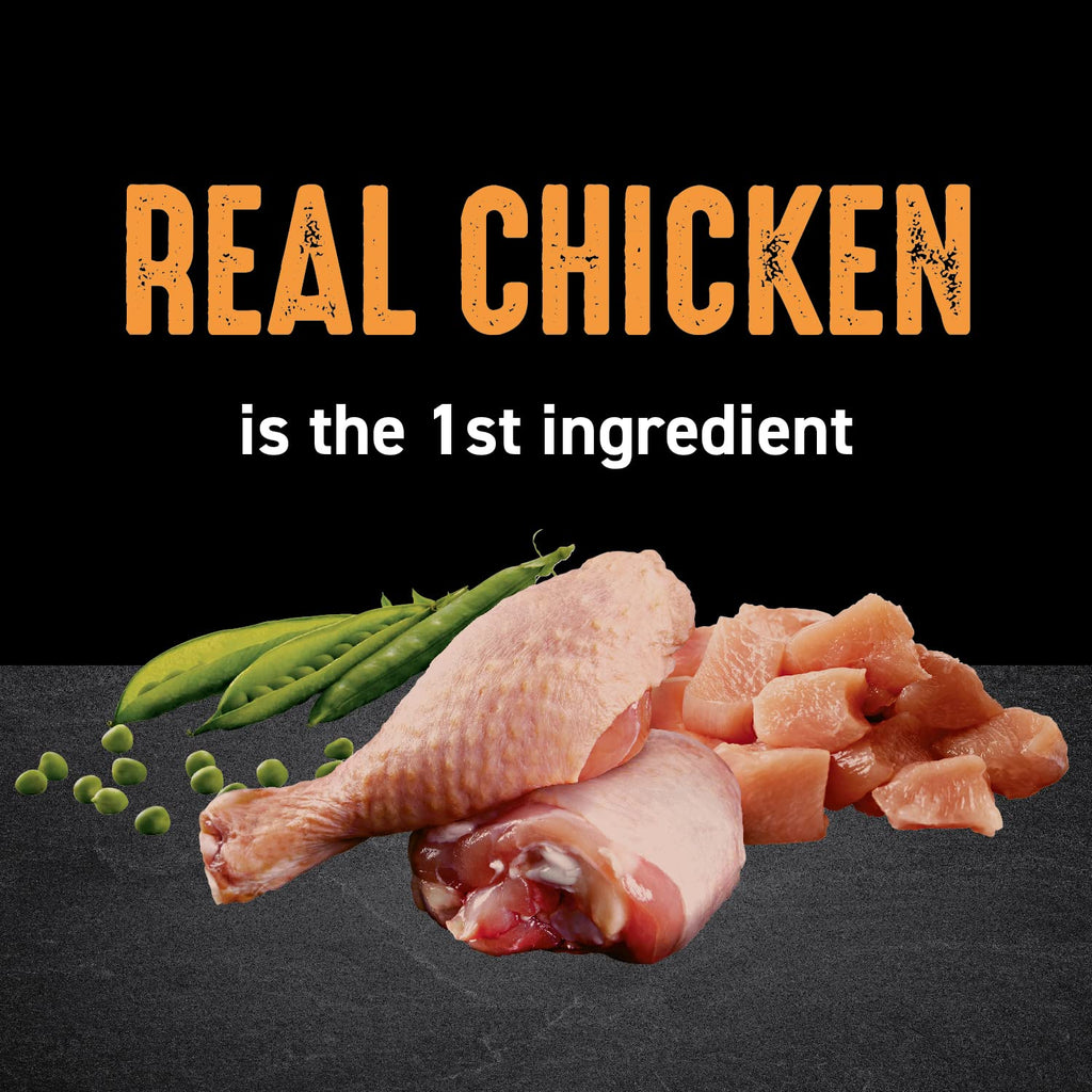 Grain Free High Protein Natural Dry Cat Food, Chicken, 10 lb P9875