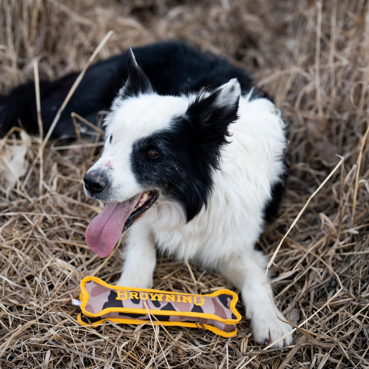 Canvas Bone Toy F440083