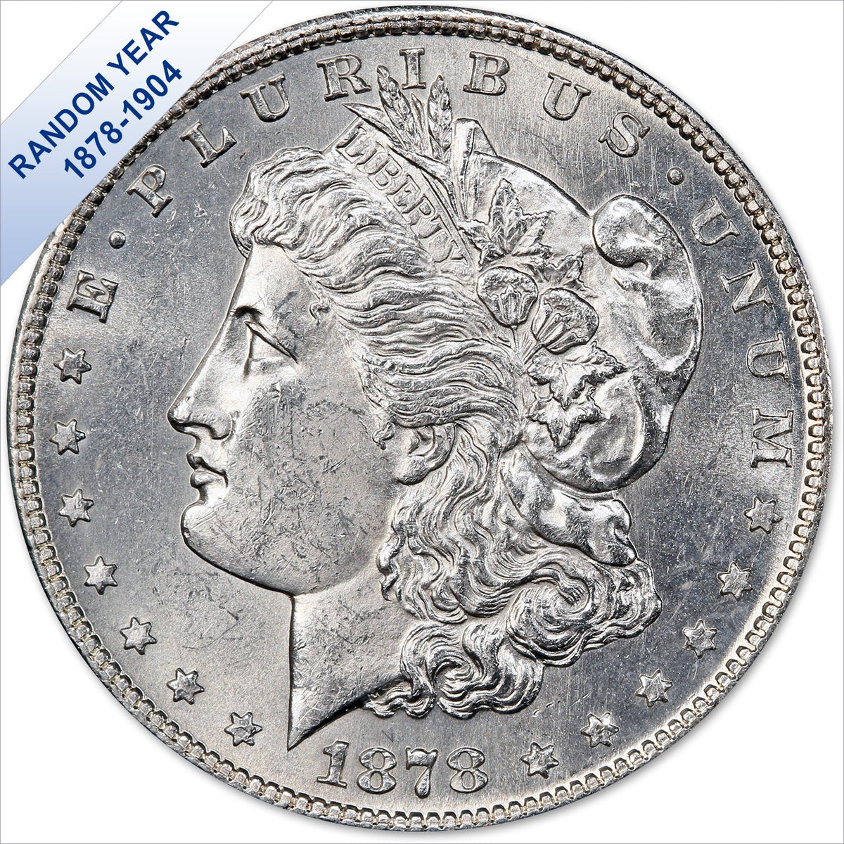 Morgan Silver Dollar Brilliant Uncirculated A13950