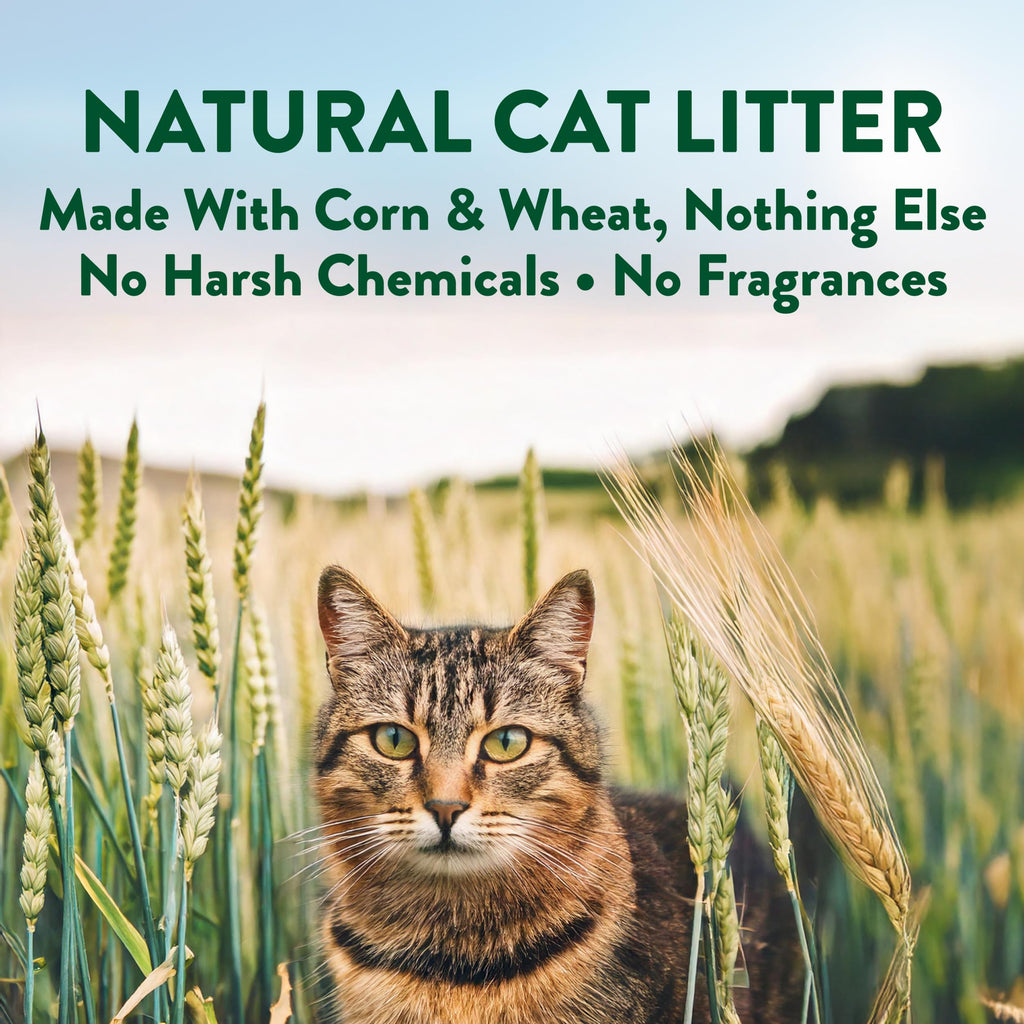 Plant-Based Clumping Cat Litter Unscented 15 Lbs Z77251