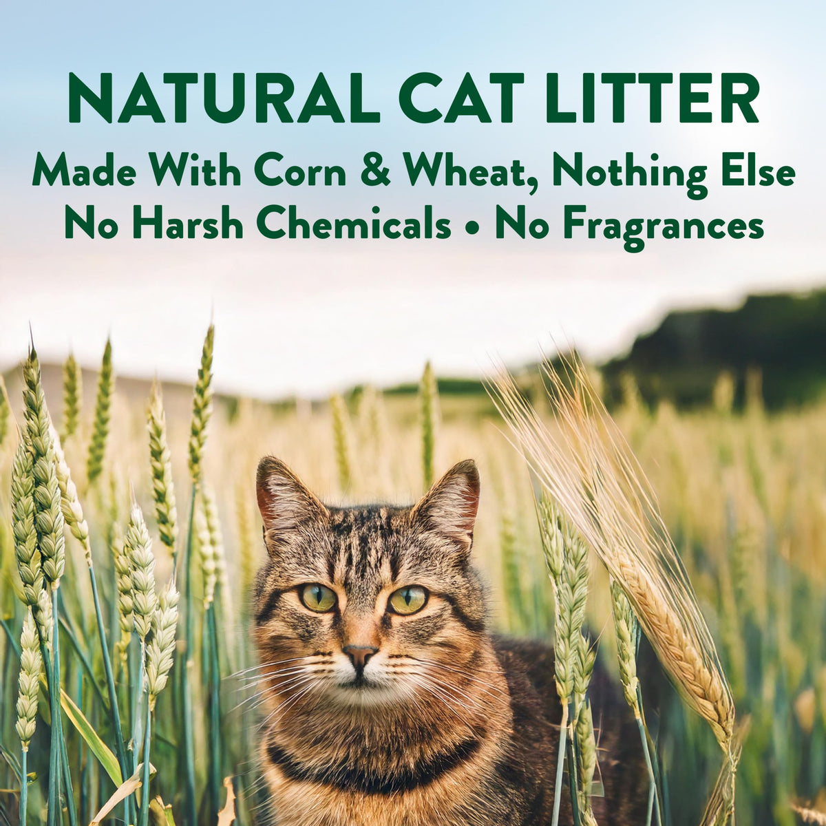 Plant-Based Clumping Cat Litter Unscented 15 Lbs Z77251